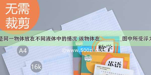 如图所示 是同一物体放在不同液体中的情况 该物体在________图中所受浮力最小 在__