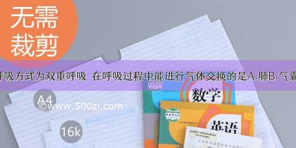 鸟类特有的呼吸方式为双重呼吸．在呼吸过程中能进行气体交换的是A.肺B.气囊C.气管D.肺