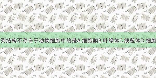 下列结构不存在于动物细胞中的是A.细胞膜B.叶绿体C.线粒体D.细胞核