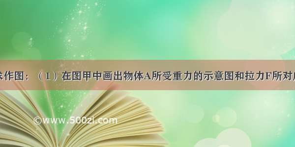 按照题目要求作图：（1）在图甲中画出物体A所受重力的示意图和拉力F所对应的力臂l．（