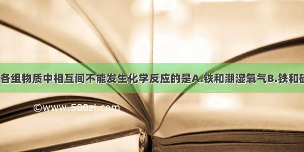 常温下 下列各组物质中相互间不能发生化学反应的是A.铁和潮湿氧气B.铁和硫酸铜溶液C.