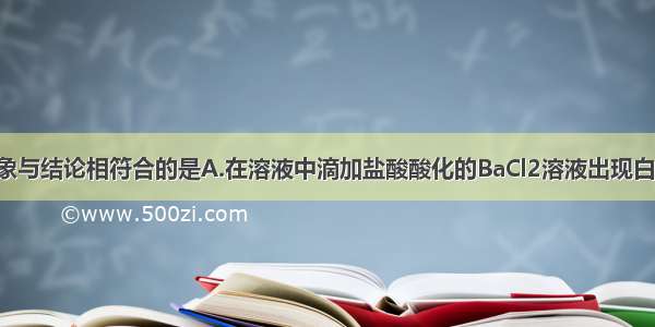 下列实验现象与结论相符合的是A.在溶液中滴加盐酸酸化的BaCl2溶液出现白色沉淀 则溶