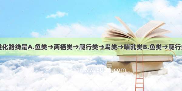 脊椎动物的进化路线是A.鱼类→两栖类→爬行类→鸟类→哺乳类B.鱼类→爬行类→两栖类→