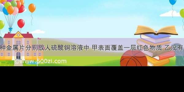 将甲 乙两种金属片分别放人硫酸铜溶液中 甲表面覆盖一层红色物质 乙没有明显现象．