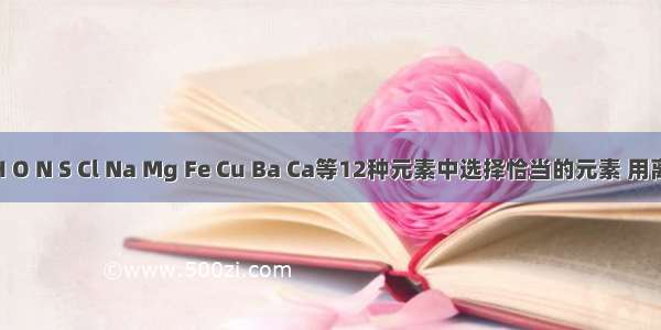 从C H O N S Cl Na Mg Fe Cu Ba Ca等12种元素中选择恰当的元素 用离子符