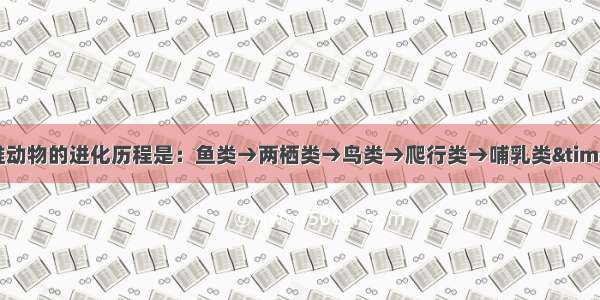 脊椎动物的进化历程是：鱼类→两栖类→鸟类→爬行类→哺乳类×．