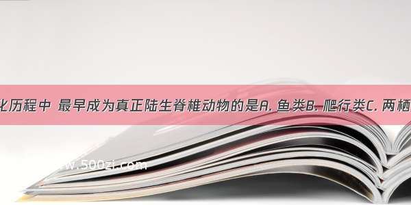 在动物的进化历程中 最早成为真正陆生脊椎动物的是A. 鱼类B. 爬行类C. 两栖类D. 哺乳类