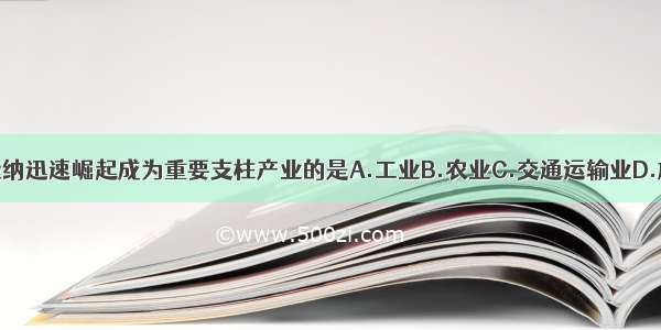 西双版纳迅速崛起成为重要支柱产业的是A.工业B.农业C.交通运输业D.旅游业