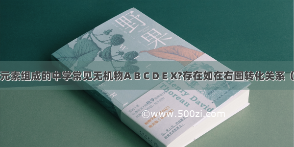 由短周期元素组成的中学常见无机物A B C D E X?存在如在右图转化关系（部分生成