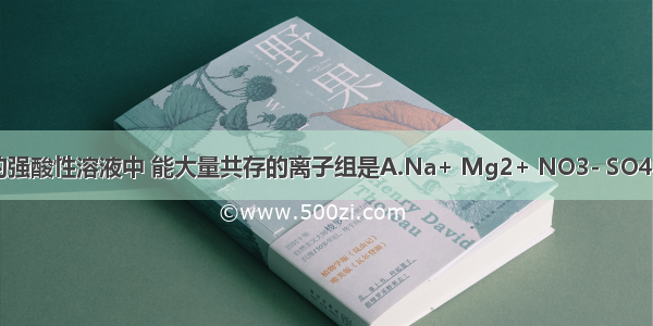 在无色透明的强酸性溶液中 能大量共存的离子组是A.Na+ Mg2+ NO3- SO42-B.K+ Na+