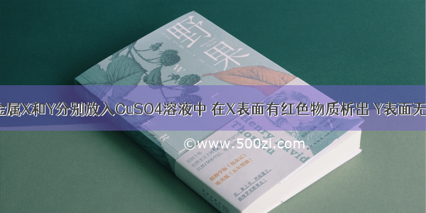 单选题把金属X和Y分别放入CuSO4溶液中 在X表面有红色物质析出 Y表面无明显现象。