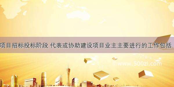 PMC单位在项目招标投标阶段 代表或协助建设项目业主主要进行的工作包括（　　）。A.