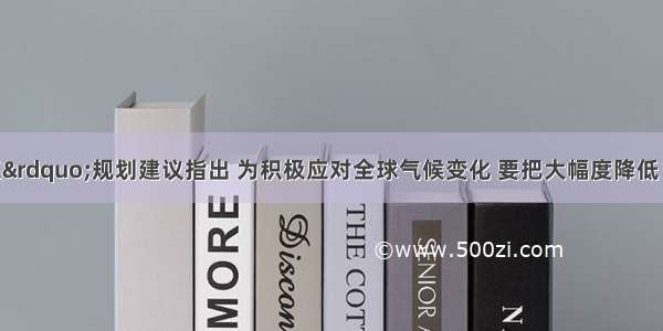 “十二五”规划建议指出 为积极应对全球气候变化 要把大幅度降低（　　）作为约束性