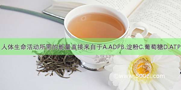 人体生命活动所需的能量直接来自于A.ADPB.淀粉C.葡萄糖D.ATP