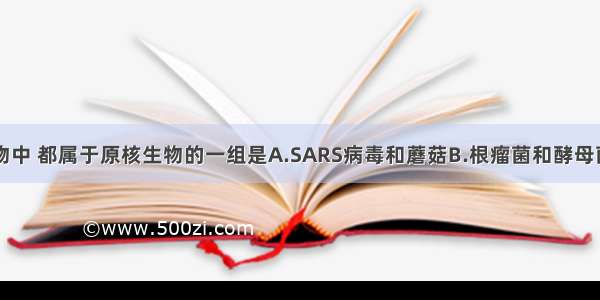 下列四组生物中 都属于原核生物的一组是A.SARS病毒和蘑菇B.根瘤菌和酵母菌C.蓝藻和大