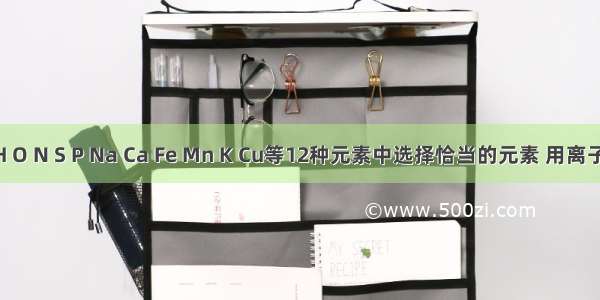 从C H O N S P Na Ca Fe Mn K Cu等12种元素中选择恰当的元素 用离子符号