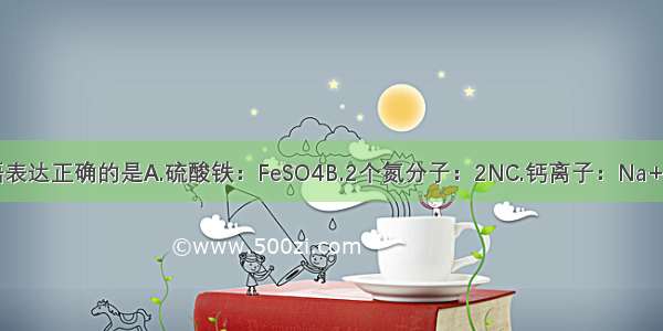 下列化学用语表达正确的是A.硫酸铁：FeSO4B.2个氮分子：2NC.钙离子：Na+D.氧化铁中铁