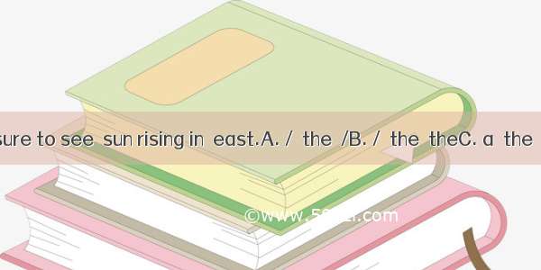 It’s  pleasure to see  sun rising in  east.A. /  the  /B. /  the  theC. a  the  theD. a  /