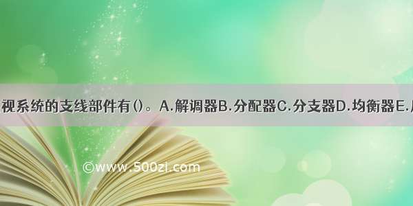 数字有线电视系统的支线部件有()。A.解调器B.分配器C.分支器D.均衡器E.用户终端盒