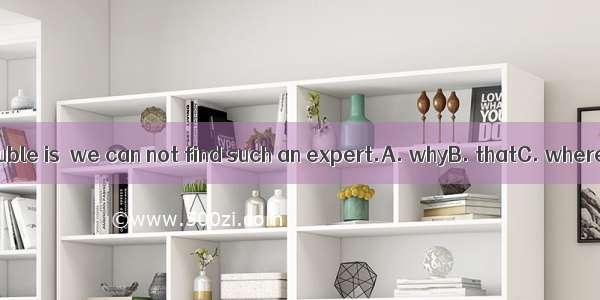 The trouble is  we can not find such an expert.A. whyB. thatC. whereD. /