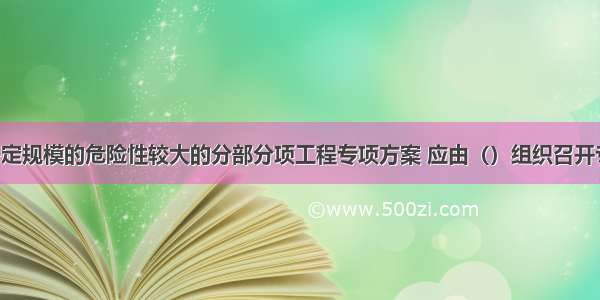 对于超过一定规模的危险性较大的分部分项工程专项方案 应由（）组织召开专家论证会。