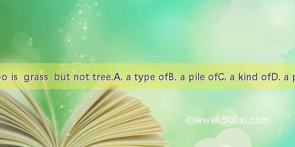 Bamboo is  grass  but not tree.A. a type ofB. a pile ofC. a kind ofD. a piece of