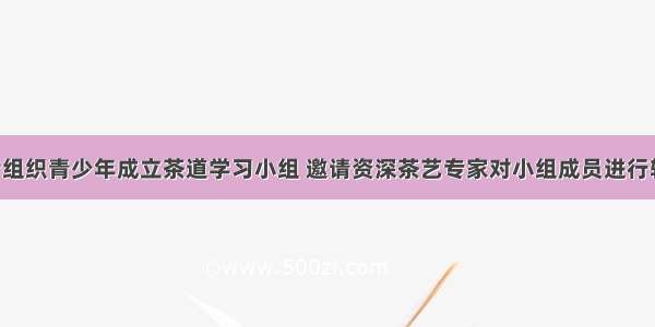 社会工作者组织青少年成立茶道学习小组 邀请资深茶艺专家对小组成员进行辅导和训练 