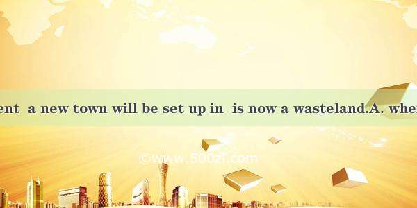 To our excitement  a new town will be set up in  is now a wasteland.A. whereB. thatC. whic