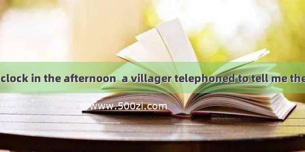 It was three o’clock in the afternoon  a villager telephoned to tell me the surprising dis