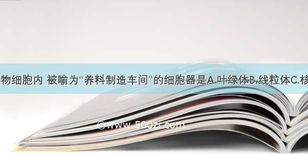 单选题植物细胞内 被喻为“养料制造车间”的细胞器是A.叶绿体B.线粒体C.核糖体D.细