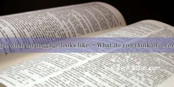 —Silly me! I forget what my luggage looks like.—What do you think of  over there?A. the on