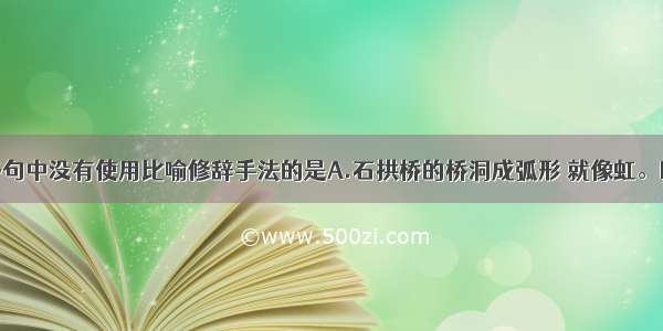 单选题下列各句中没有使用比喻修辞手法的是A.石拱桥的桥洞成弧形 就像虹。B.远望这座桥