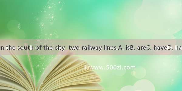 In the south of the city  two railway lines.A. isB. areC. haveD. has