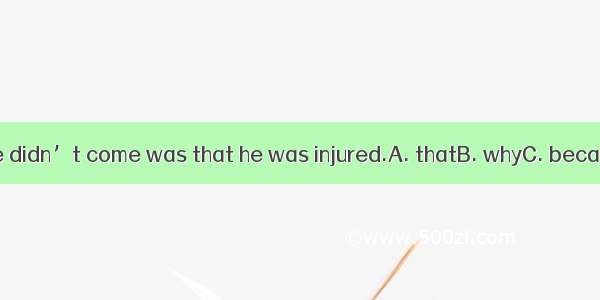 The reason he didn’t come was that he was injured.A. thatB. whyC. because D. when