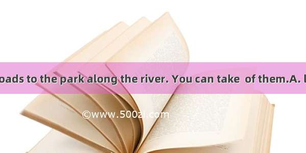 There are two roads to the park along the river. You can take  of them.A. leading ;eitherB