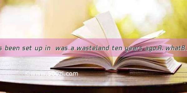 A modern city has been set up in  was a wasteland ten years ago.A. whatB. which C. thatD.