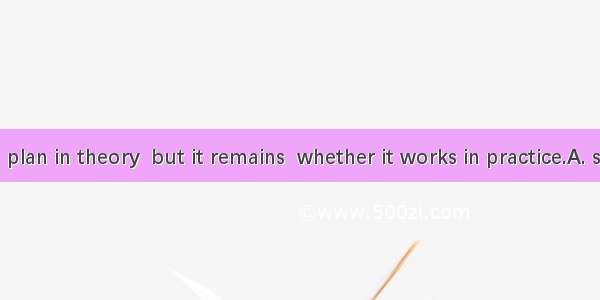 It is a good plan in theory  but it remains  whether it works in practice.A. seeingB. to s