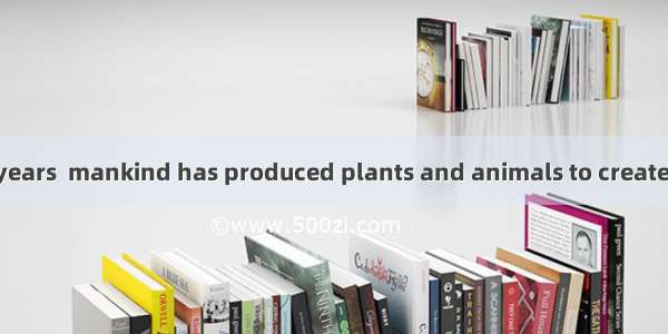 For thousands of years  mankind has produced plants and animals to create more desired and