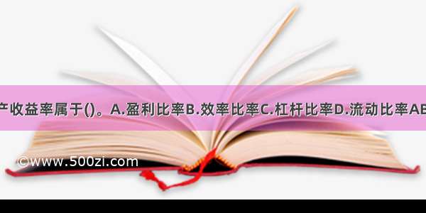 资产收益率属于()。A.盈利比率B.效率比率C.杠杆比率D.流动比率ABCD