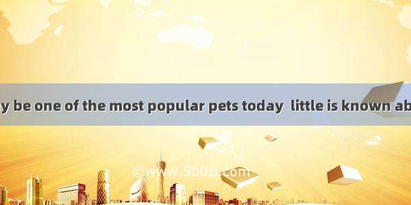 Although cats may be one of the most popular pets today  little is known about how and whe