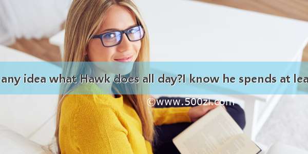 ---Do you have any idea what Hawk does all day?I know he spends at least as much time