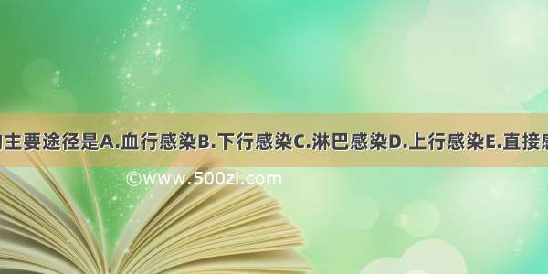 尿路感染的主要途径是A.血行感染B.下行感染C.淋巴感染D.上行感染E.直接感染ABCDE