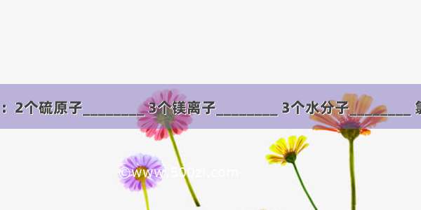 用化学符号填空：2个硫原子________ 3个镁离子________ 3个水分子________ 氯化钙________．