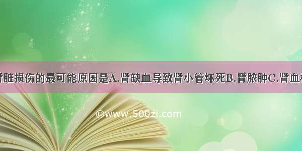 导致该患者肾脏损伤的最可能原因是A.肾缺血导致肾小管坏死B.肾脓肿C.肾血栓D.肾皮质坏