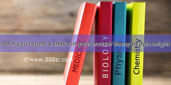 What would you do if you found a snake in your house? Many people might be afraid or try t