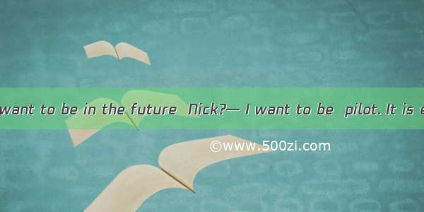 — What do you want to be in the future  Nick?— I want to be  pilot. It is exciting job.A.