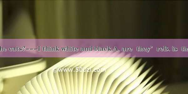 ---What color the cats?---I think white and black.A. are  they’reB. is  they’reC. is  it’s