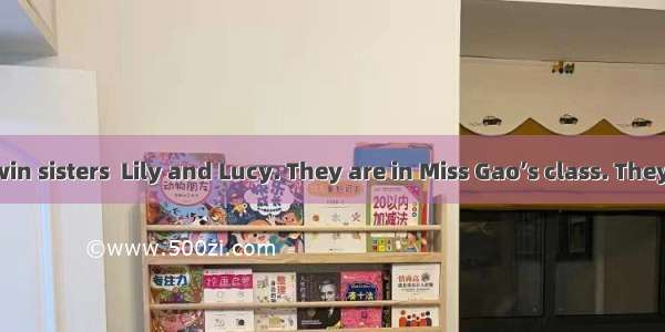 Here are the twin sisters  Lily and Lucy. They are in Miss Gao’s class. They are two new s