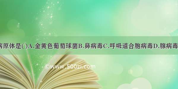 毛细支气管炎的病原体是()A.金黄色葡萄球菌B.鼻病毒C.呼吸道合胞病毒D.腺病毒E.支原体ABCDE