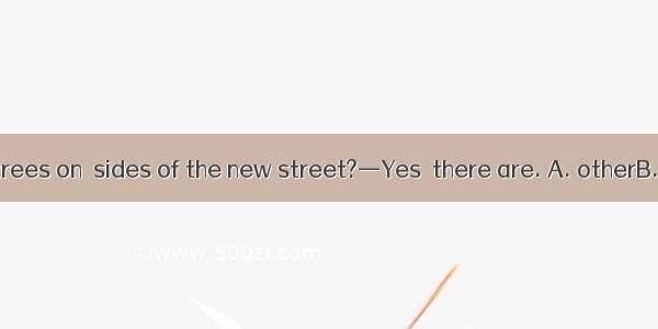 —Are there any trees on  sides of the new street?—Yes  there are. A. otherB. anotherC. bot